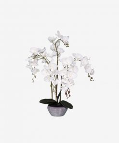 Instant furniture outlet 84cm White Orchid 5 Stems