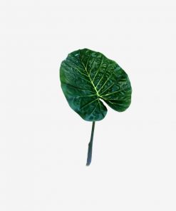 Instant furniture outlet 62CM Colocasia esculenta leaf