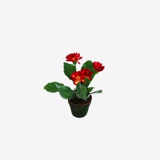 Daisy Red Plant from Instant furniture outlet