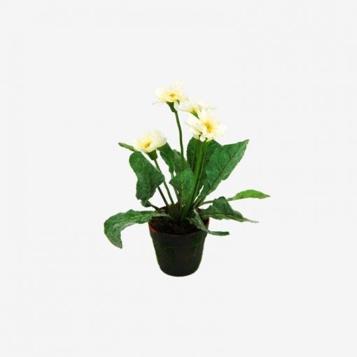 Yellow Plant from Instant Furniture Outlet