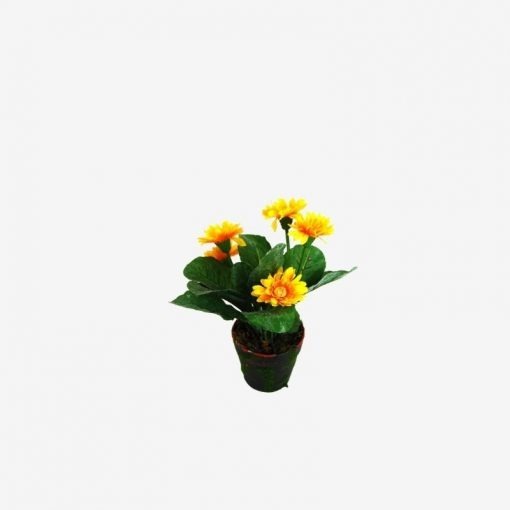 Attractive Plant Yellow color Instant furniture outlet