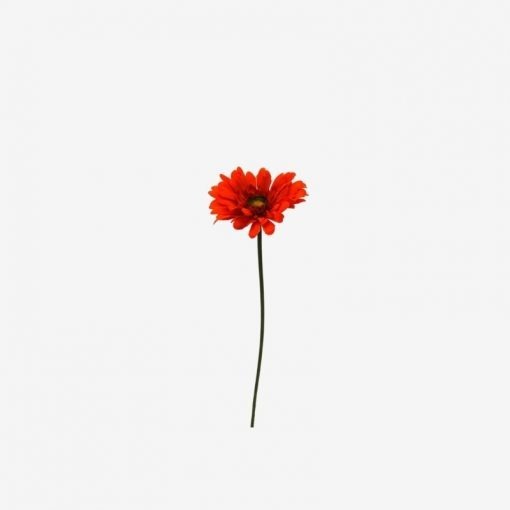 Red Flower by Instant furniture outlet