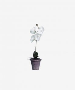 Instant furniture outlet White flower vase