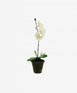 IFO White flower vase