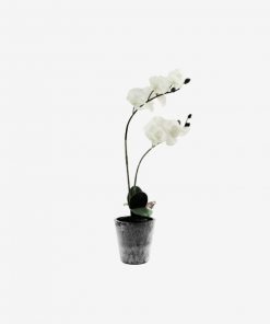 43cm White Orchid 2 Stems From Instant furniture outlet