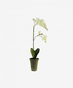 Instant furniture outlet 69CM White Orchid Single Stem