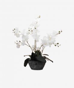 64CM White Orchid 4 Stems from Instant furniture outlet