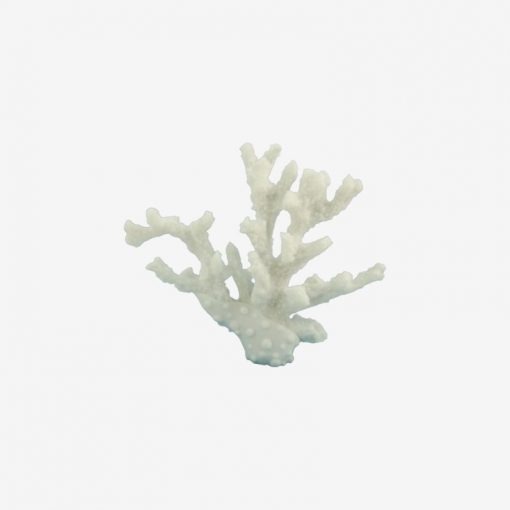 19CM Ivory Bush Coral from IFO