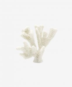23CM Horn Coral BY online furniture store IFO