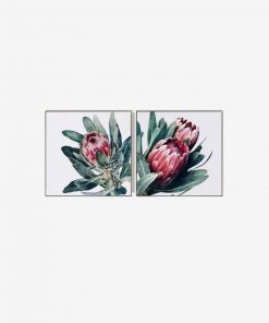 Proteas Canvas by IFO