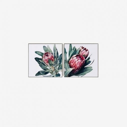 Proteas Canvas by IFO