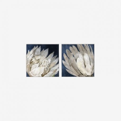 Proteas Canvas Framed IFO